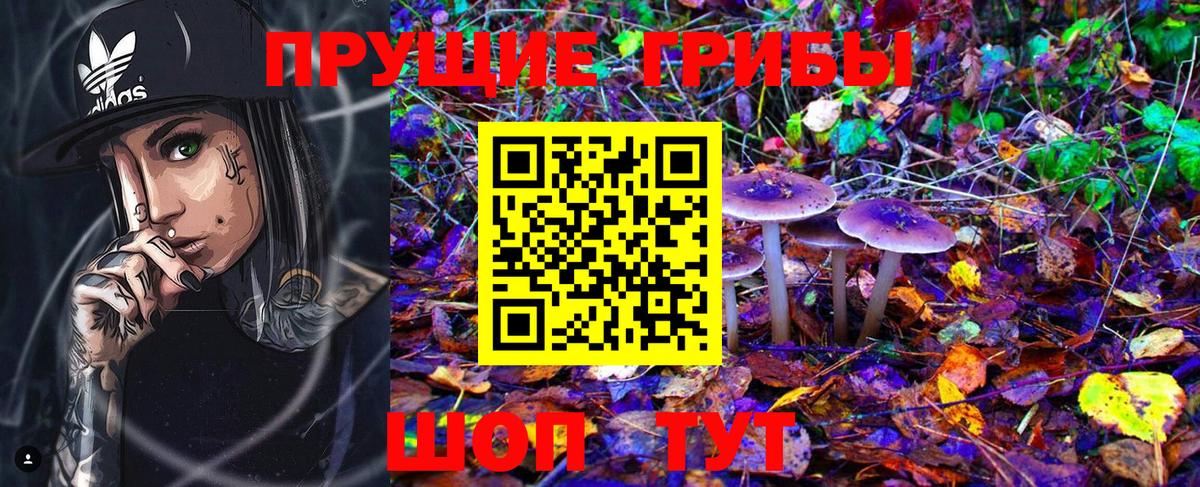 Псилоцибиновые грибы Magic Shrooms  Вход с VPN  закладка  Галлюциногенные грибы ЛСД  Шелехов 